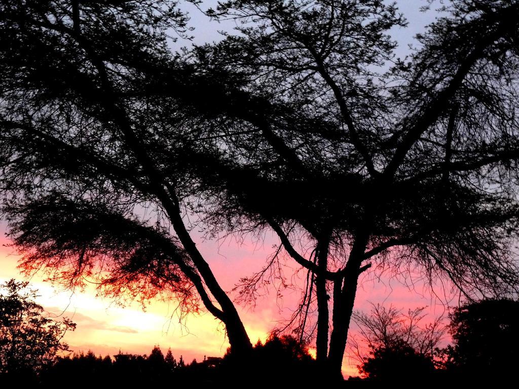 Jacana Gardens Guest Lodge Harare Extérieur photo